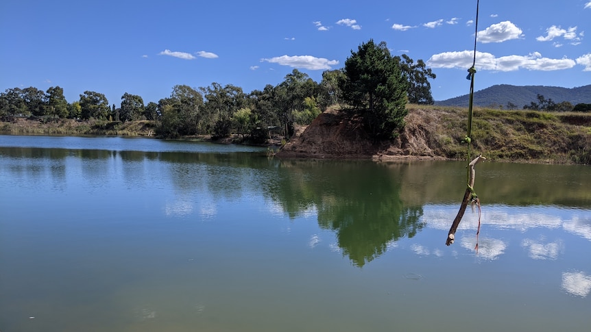 A waterhole reflecting blue skies with a hanging rope swing