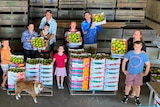 A group of adults and children holding boxes of mangos, all smiling with a dog in the foreground