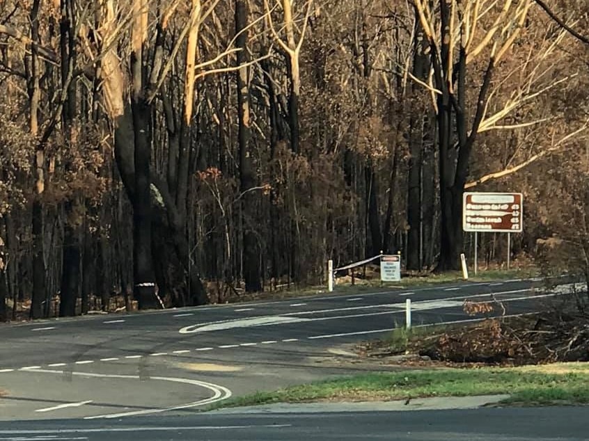 Trees up to the roadside were burnt at the entrance to Sussex Inlet. (Supplied: Craig Hyde)