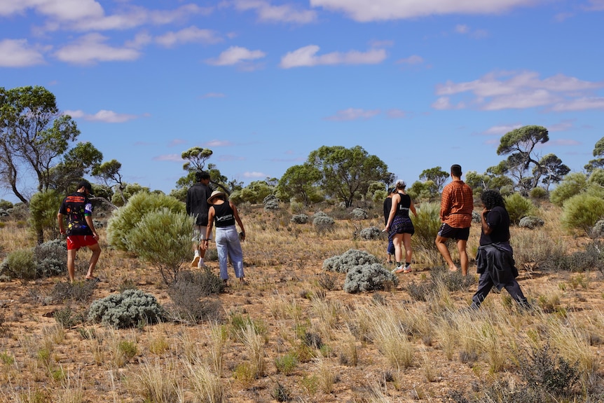 A scattered group of people walking on dry outback, blue sky, facing away from the camera