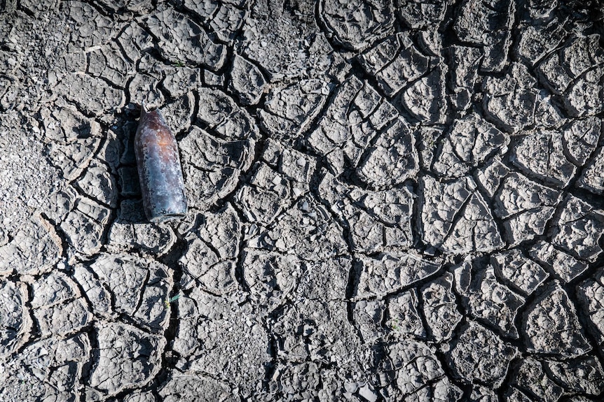 An old bottle sits on a dry, cracked river bed.