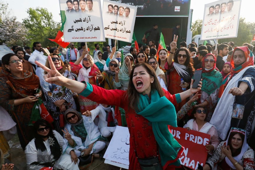 A group of protesters wearing red, white and green hold up signs and appear to be yelling.