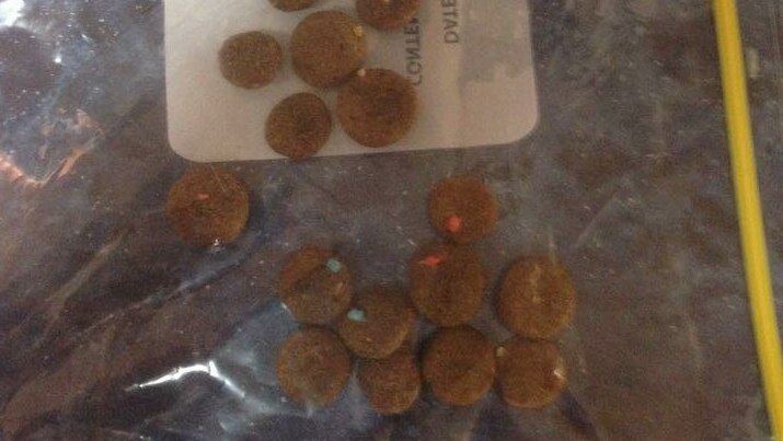 Scraps of coloured plastic in dog food clip up in a zip lock bag