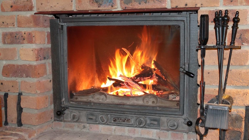 Photo of a wood burning heater or fireplace.