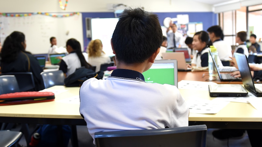 An image of a classroom showing the backs of young students. 