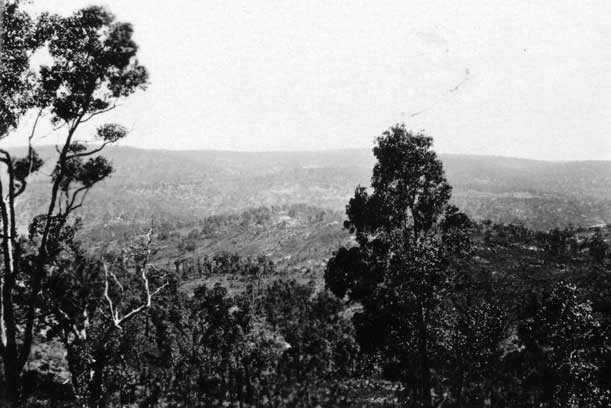 View from Zig Zag Railway near Kalamunda, 1925