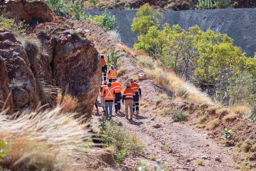 A group of people in high-vis vests walk up a gravel path near a rocky outcrop.