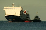 A livestock vessel docked off the coast