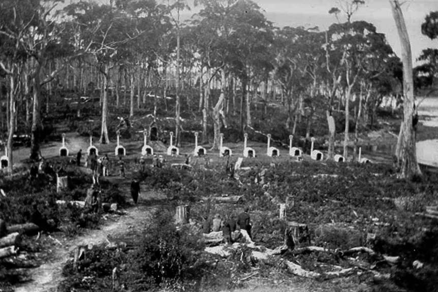 Black and white movie still showing dog kennels in the bush