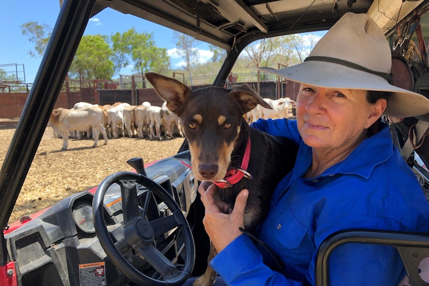 A grazier and her dog sit in the shade of the side-by-side, four-wheel vehicle as her young cattle feed in the yards behind her.