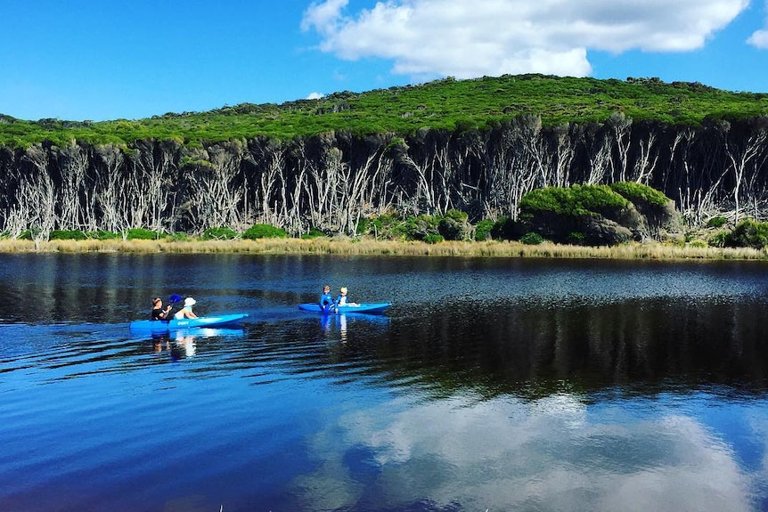 Four boys kayaking on Australian lagoon