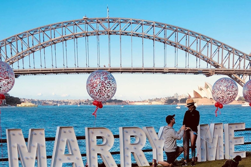 A man on one knee asking a woman to marry him in a park opposite the Sydney Harbour Bridge