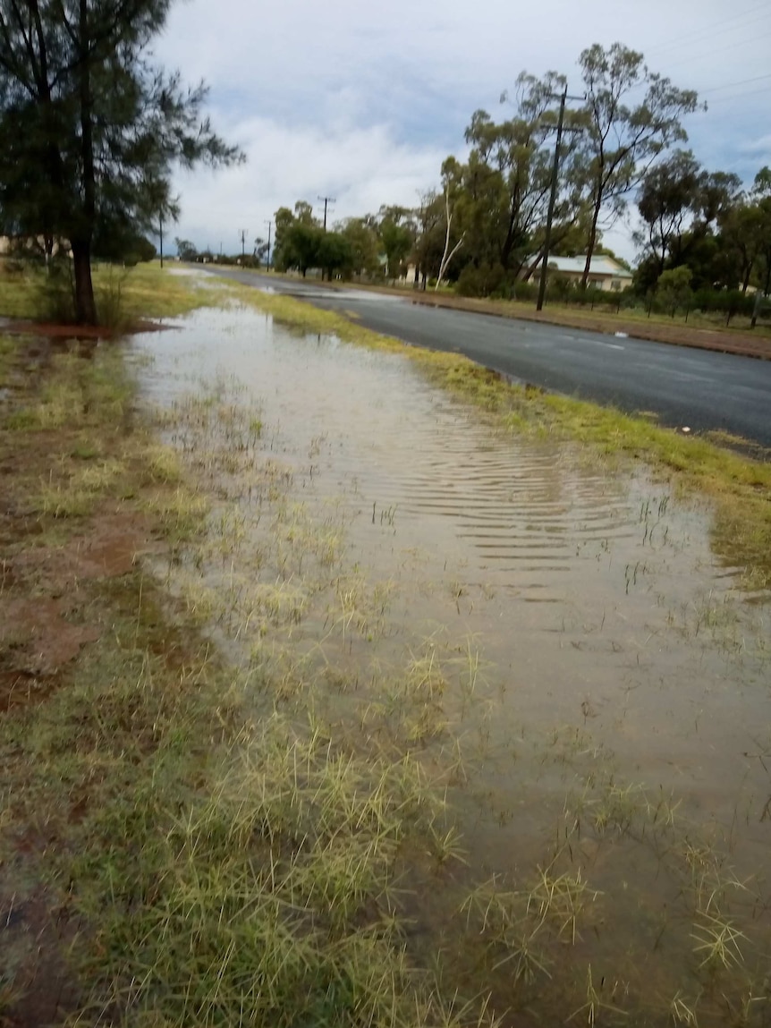 A road in western New South Wales covered in water.