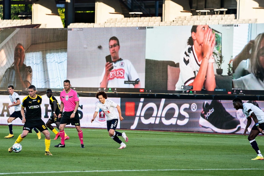 A group of TV screens at a ground show fans remote-watching a Danish football game.