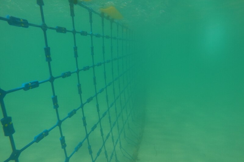 Eco Shark Barrier at Coogee