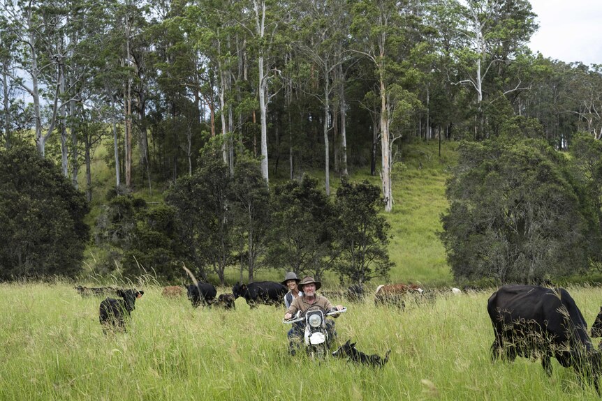 A smiling man and woman on a motorbike on a lush country property.