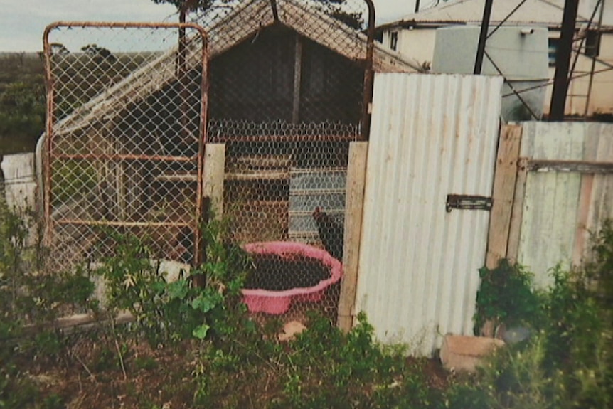 shed on property where alleged abuse happened