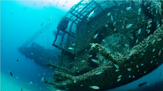 An underwater shot of a shipwreck with a school of blue, yellow and black fish swimming around it.