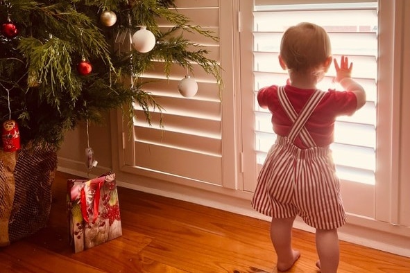 A baby wearing striped overalls stands near Christmas tree looking out the window through the shutters.