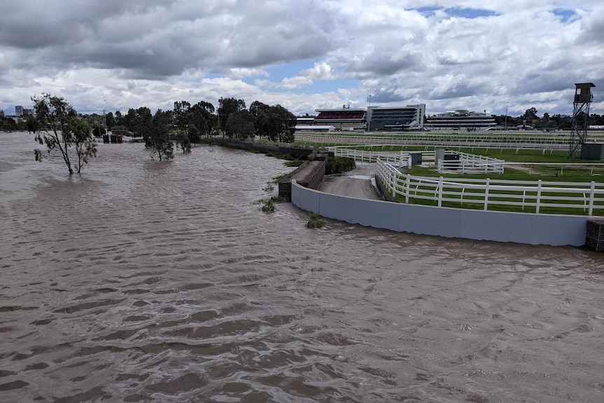 A flood wall protects a racecourse from rising waters.