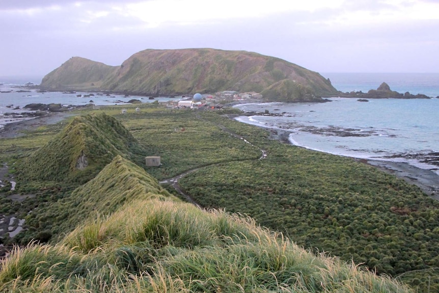 Macquarie Island station