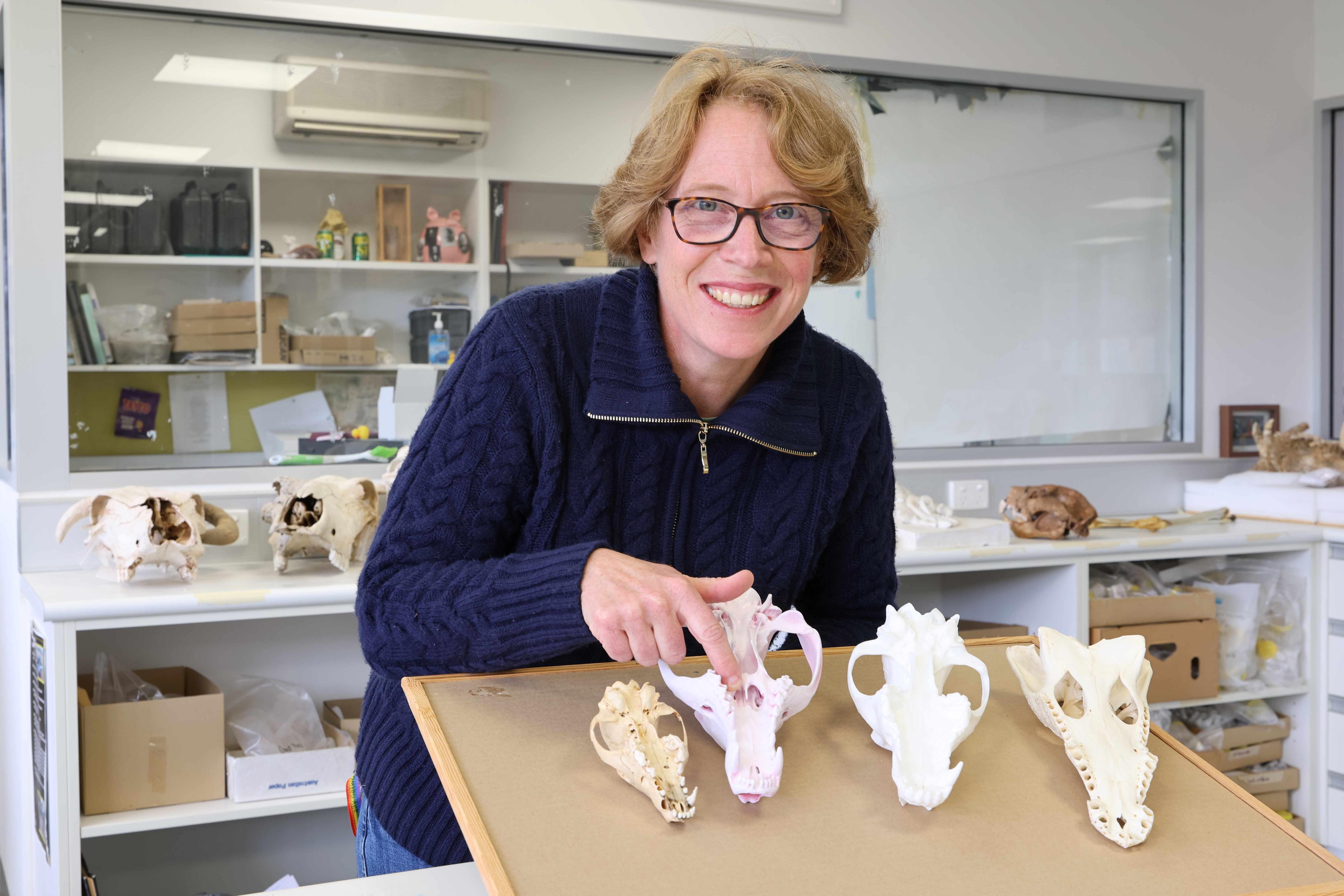 Research challenges previously held ideas about thylacine