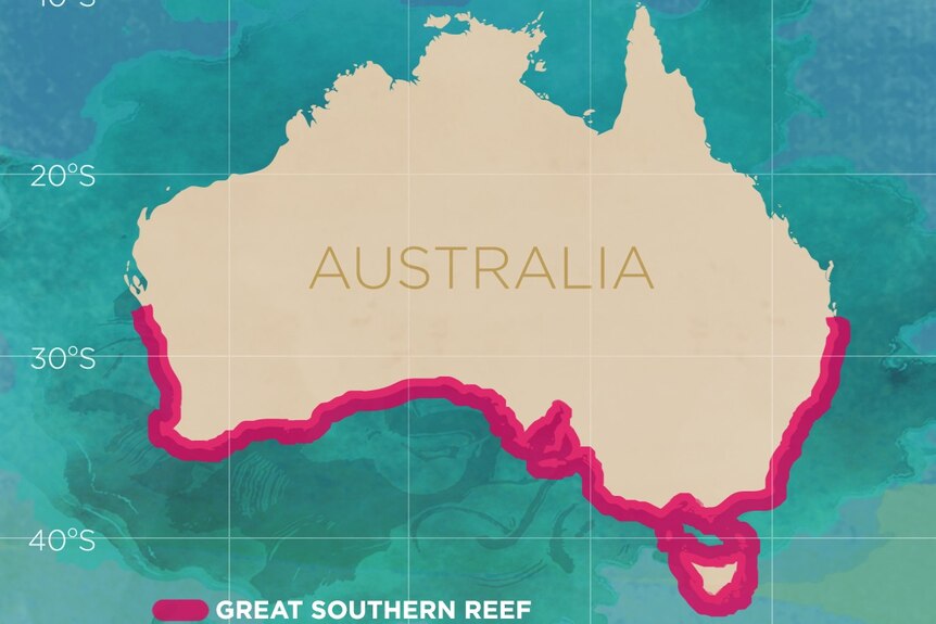 A map outlining the area of southern Australia's coastline considered the Great Southern Reef.