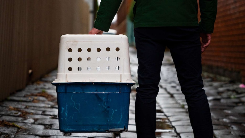A man holds a dog crate in an alleyway.