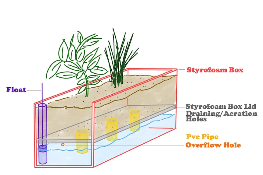 Wicking bed diagram with float pipe in one corner, overflow hole in the side, PVC pipe, box lid with aeration holes
