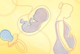 Graphic artwork of a dummy, a baby, and a pregnant woman