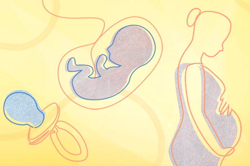 Graphic artwork of a dummy, a baby, and a pregnant woman