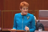 Pauline Hanson makes her maiden speech to the Senate.