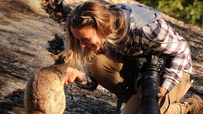 Woman with camera and huge lens scratches neck of little wallaby