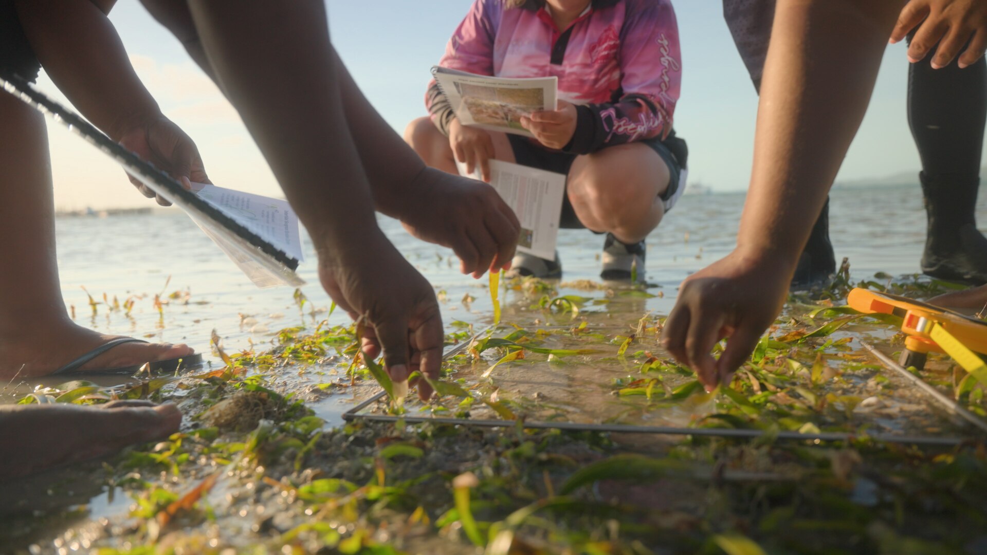 People reach down towards sprouts in the sea, while someone in the background squats down and holds a notebook.