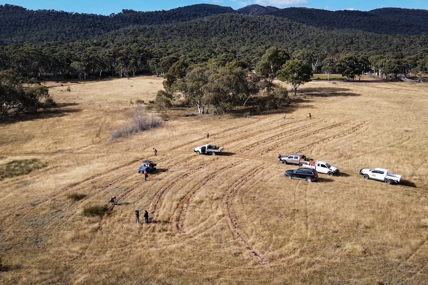 Drone angle of a paddock with people and cars, and lines cut for tree planting