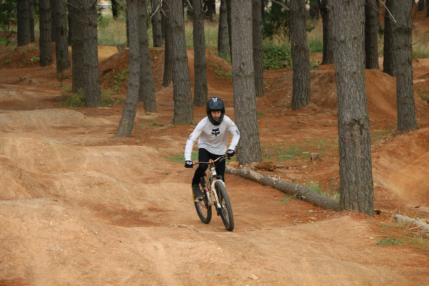 A man on a mountain bike rides over dirt jumps.