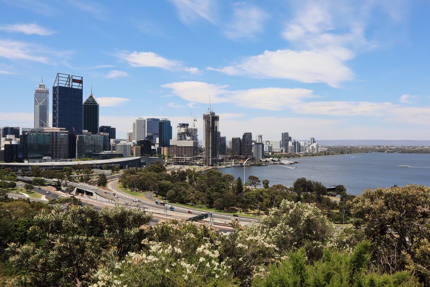 View of Perth skyline from Kings Park.