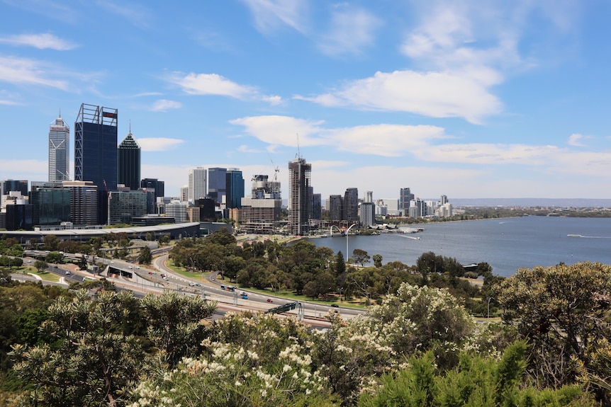 View of Perth skyline from Kings Park.