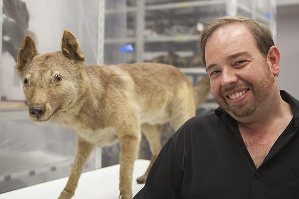 A man smiling in front of a stuffed fox