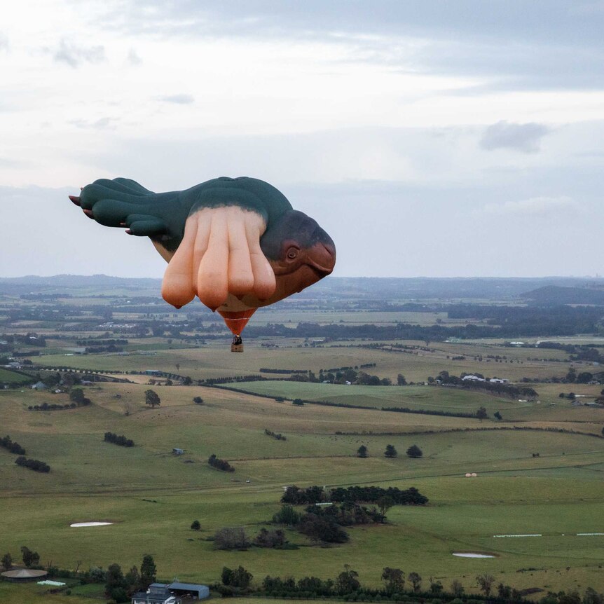 A hot air balloon in the shape of a whale with breasts instead of flippers and fins, flying over green paddocks.