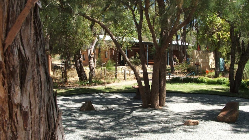 A school yard with trees, gravel and grass in the foreground and a brick building in the background.