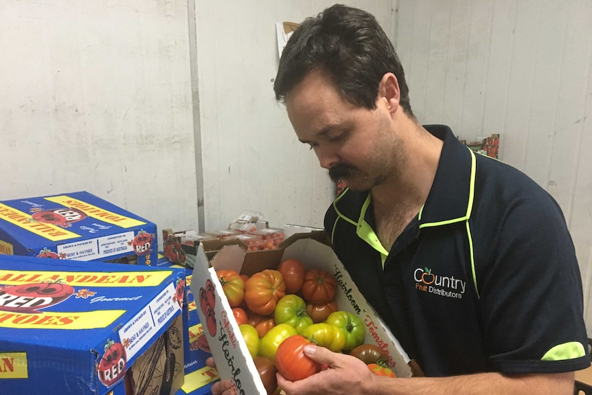 A man in a warehouse holds a and inspects a box of green and red heirloom tomatoes, amid a stack of other boxes.