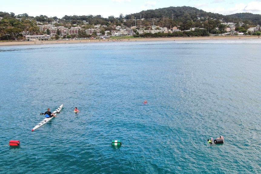A drone photo of the ocean off Lorne's beach, where surf lifesaving competitors are swimming around colourful buoys.