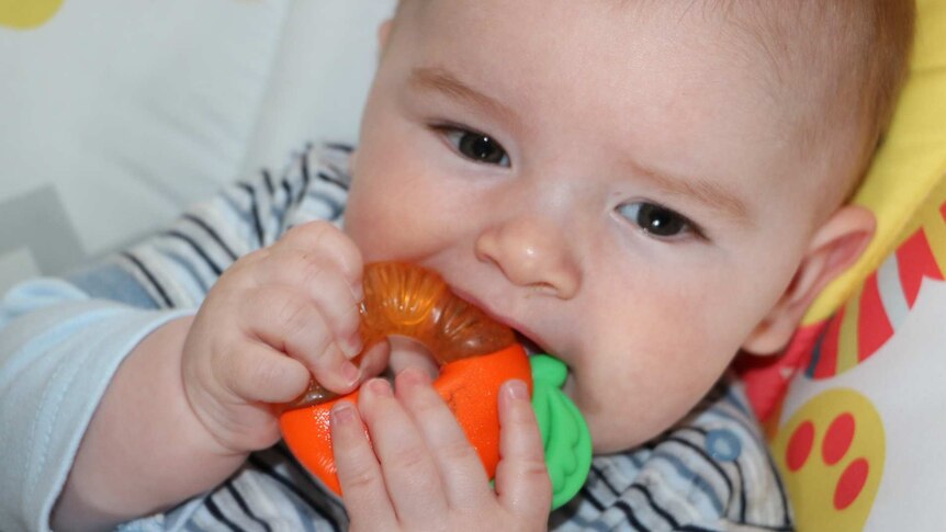 Baby chewing on teething toy