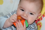 Baby chewing on teething toy