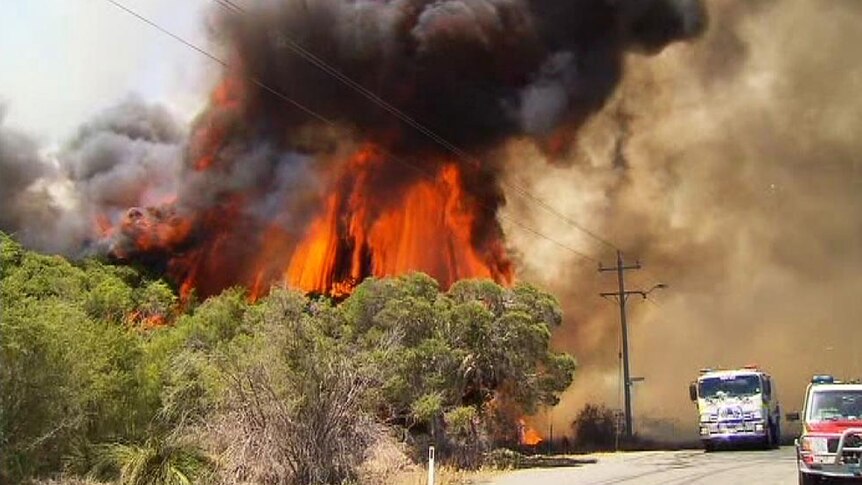 Flames leap in blaze south of Perth