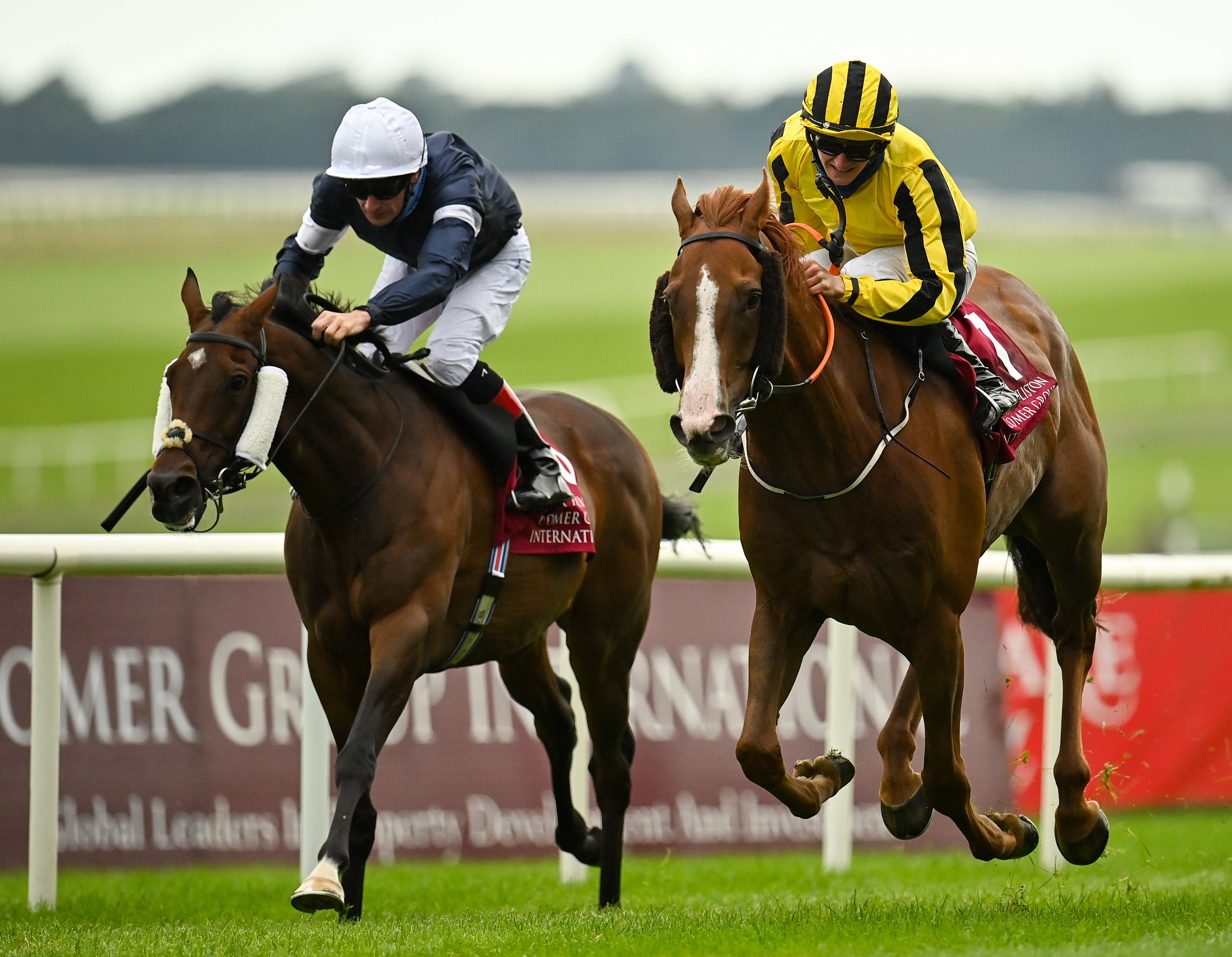 How Melbourne Cup horses prepare for Flemington — what are the big lead