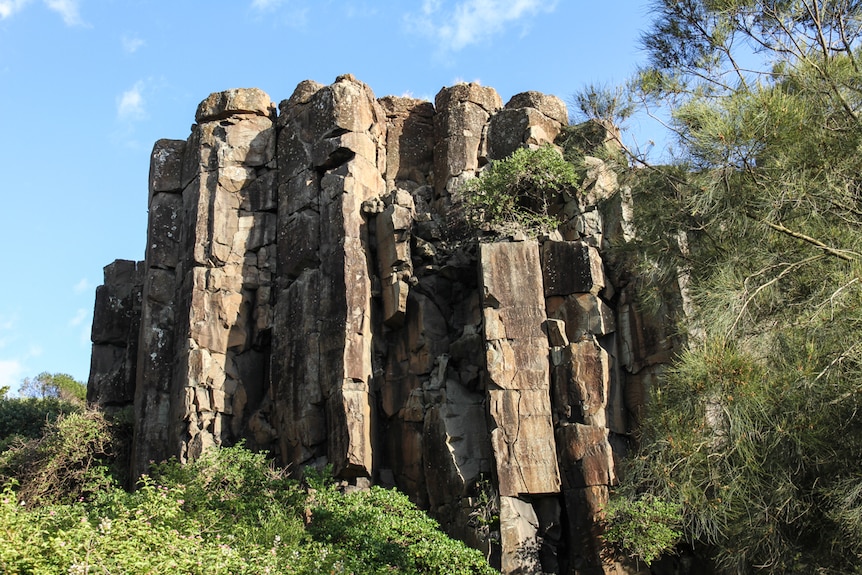 Tall columns of basalt rock stand in the old quarry.