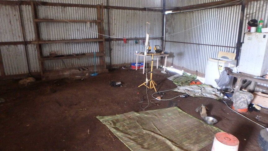 The shed that mistreated greyhounds were kept in