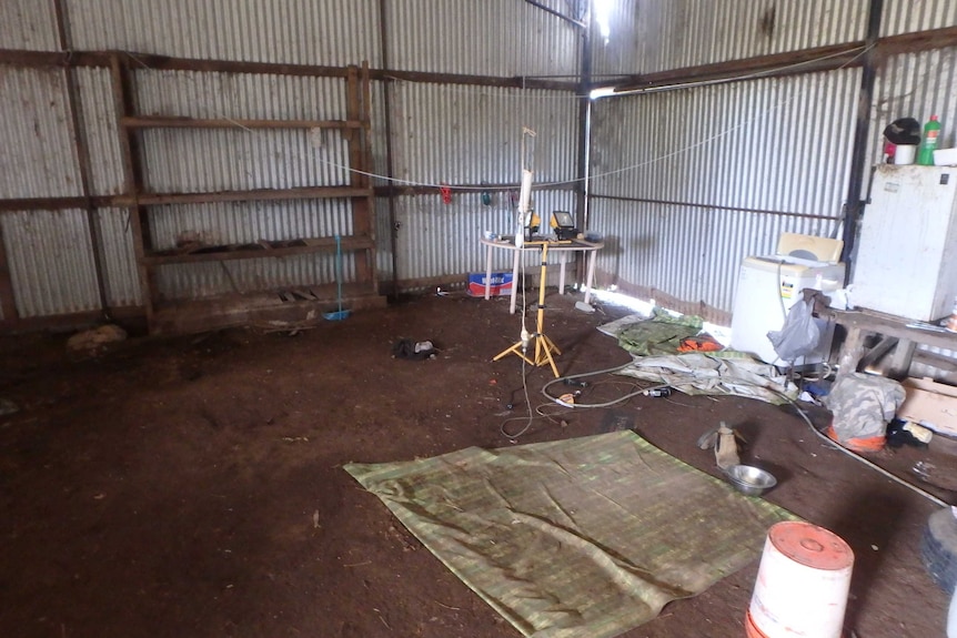 The shed that mistreated greyhounds were kept in